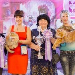 Международная выставка кошек клуба «ФелиСити»