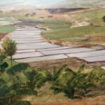 Выставка Владимира Хахо “На Мадагаскар в поисках солнца”